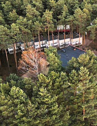 Nawet 300 tys. zł na rozwój firmy. Leśna Kraina Górnego Śląska zapowiada...