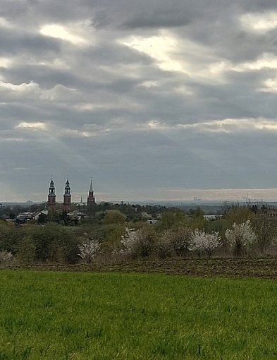 Awantura o plan zagospodarowania. We wtorek spotkanie z mieszkańcami