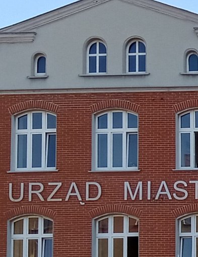Plaga much w Piekarach Śląskich. Mieszkańcy alarmują: „Nie do wytrzymania”
