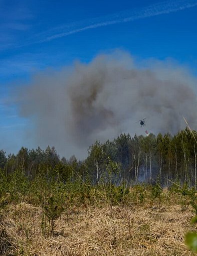 Walka z ogniem w regionie. Płonęło 15 hektarów lasu, w akcji samoloty i śmigłowce
