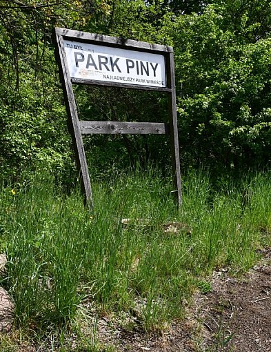 Co dalej z Parkiem Piny w Tarnowskich Górach? Radny pyta o rewitalizację
