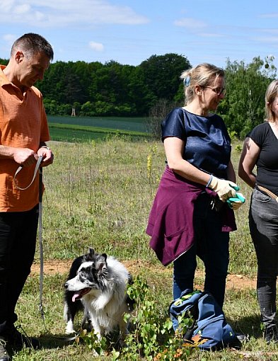 Tarnowskie Góry. Heavy metal pod ochroną, czyli akcja na hałdzie