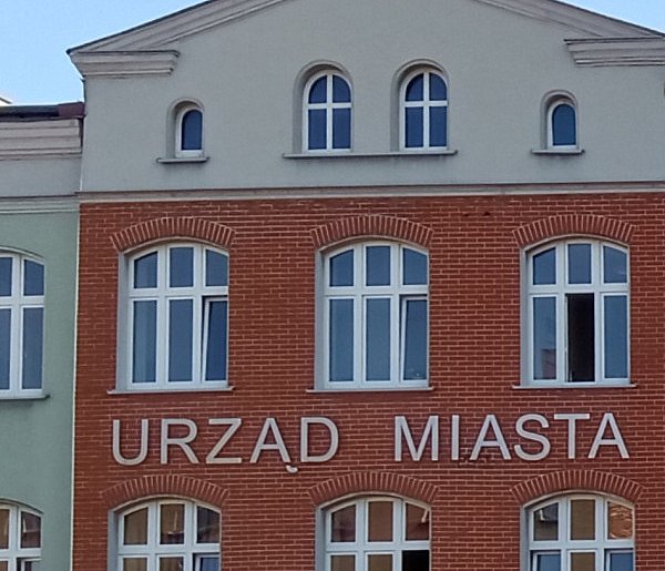 Plaga much w Piekarach Śląskich. Mieszkańcy alarmują: „Nie do wytrzymania”