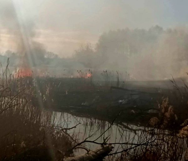 Znowu pożar sitowia w okolicy Pniowca i Strzybnicy