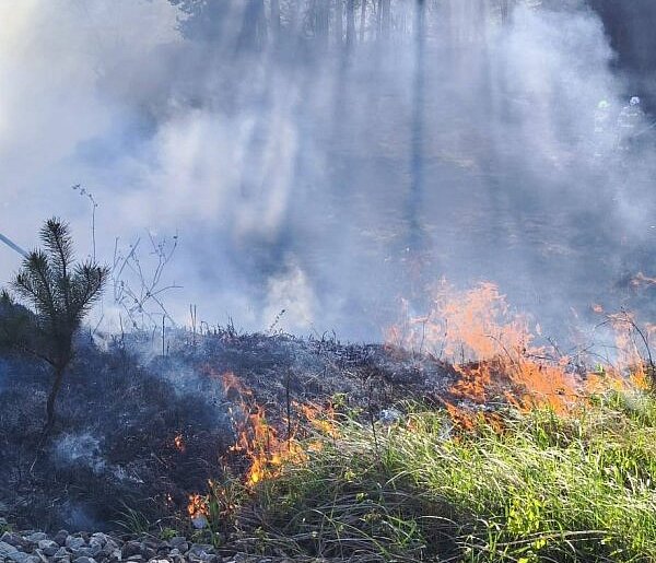 Powiat tarnogórski. Pożar przy ul. Leśnej. Akcja zastępów OSP