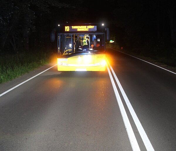 Tarnowskie Góry. Kierowca autobusu hamował przed stadem dzików