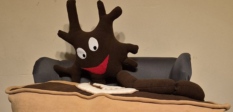 Nauczyciele dla WOŚP i pluszowa, neuronowa kawa