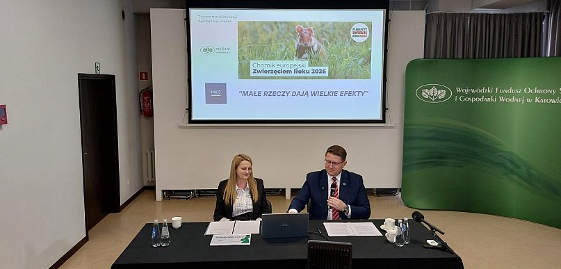 Tysiące wniosków, miliardy złotych dotacji. WFOŚiGW w Katowicach podsumował