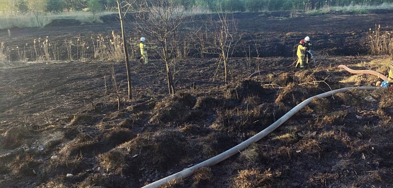Znowu pożar sitowia w okolicy Pniowca i Strzybnicy