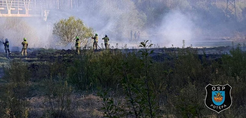 Powiat tarnogórski. Pożar przy ul. Leśnej. Akcja zastępów OSP