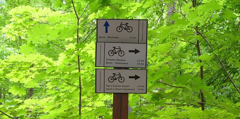 Tarnowskie Góry. Rezerwat Segiet i nowe szlaki pieszo-rowerowe