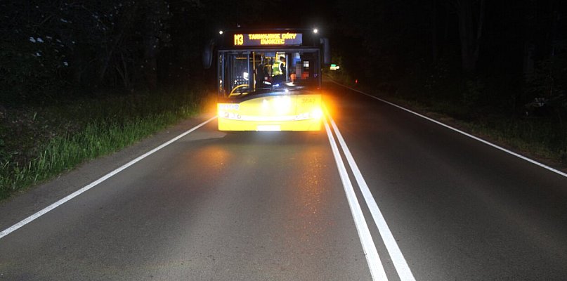 Tarnowskie Góry. Kierowca autobusu hamował przed stadem dzików