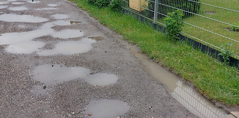 Tarnowskie Góry. Mieszkanka interweniuje w sprawie stanu drogi