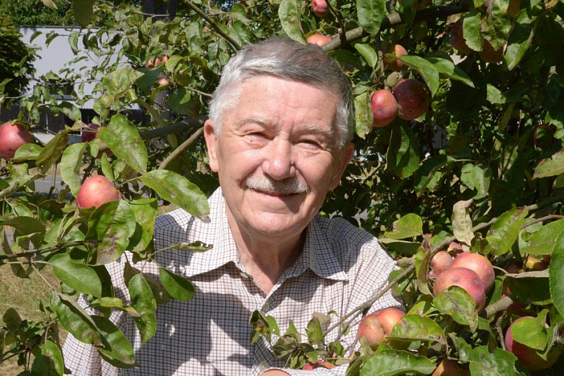 Owocobranie w Tarnowskich Górach