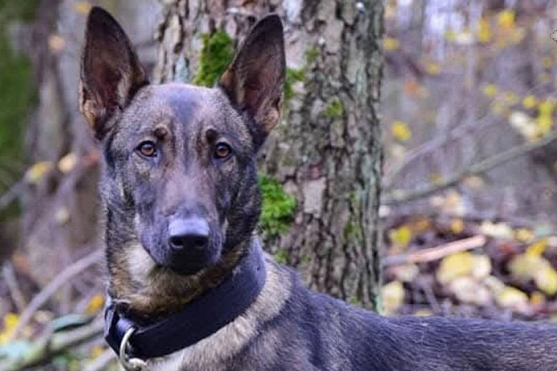 Tarnowskie Góry. Neta przeszła na emeryturę