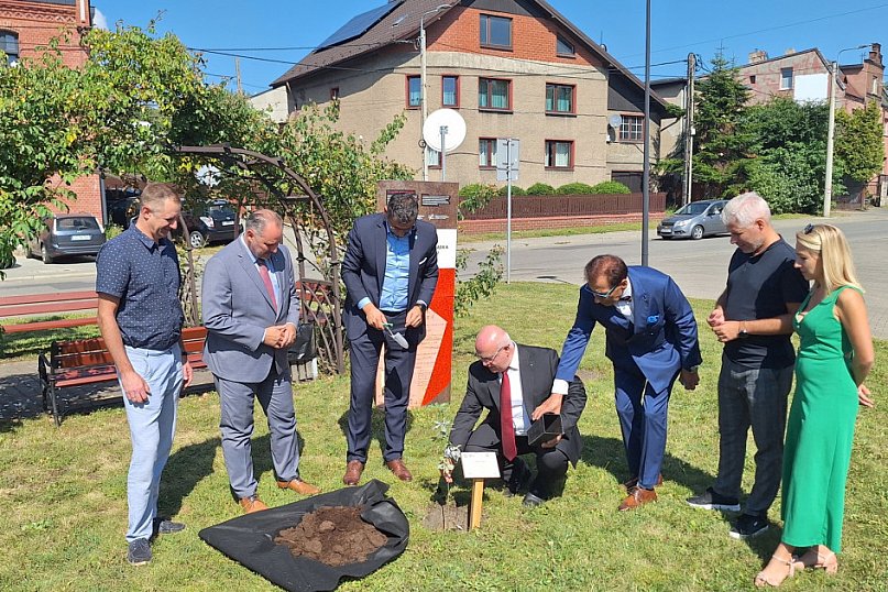 Radzionków. Stop gwałtom i Dąb Pokoju