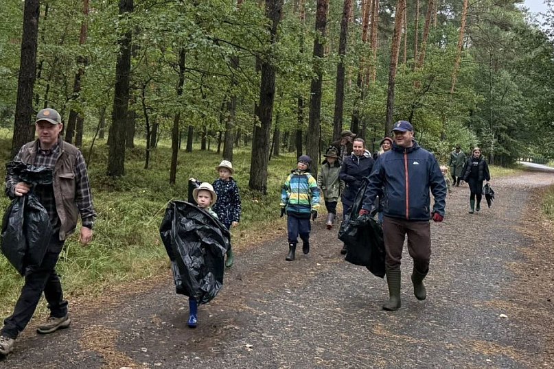 Pniowiec. Zebrali w lesie cztery kontenery śmieci