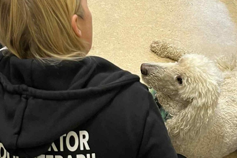 Pudel królewski i błędy młodości. Działo się w CZP