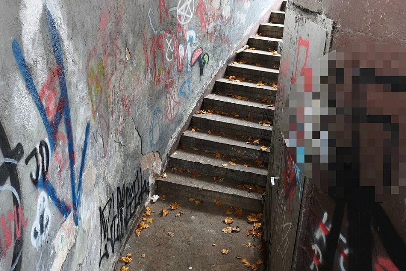 Tarnowskie Góry. Park Miejski – amfiteatr za muszlę