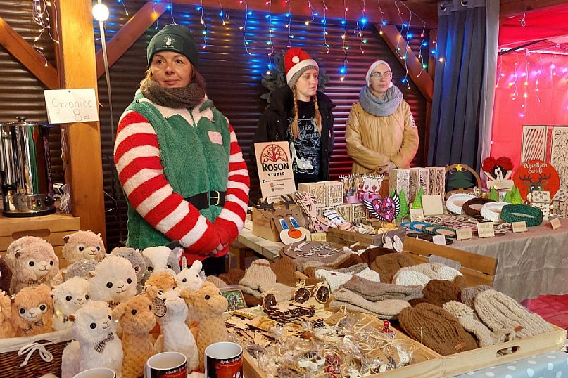 Kameralnie, z alpakami. Połomski jarmark