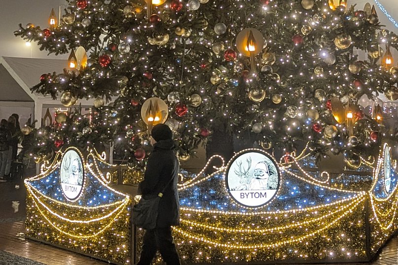 Zimowa gwiazdka i Power of Wings