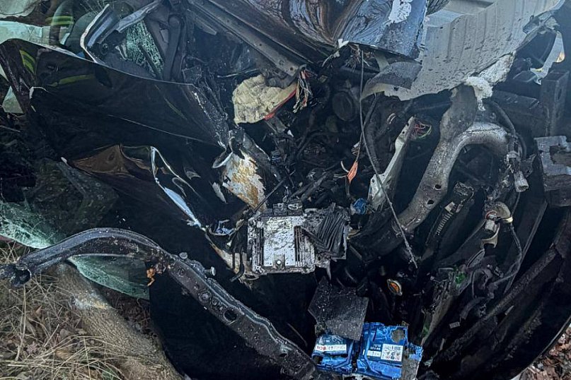 Renault uderzyło w drzewo