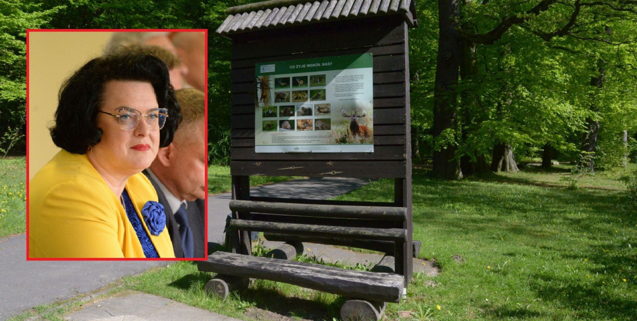 Tarnowskie Góry: Barbara Dziuk: jesteśmy przeciwni utworzeniu rezerwatu Parku Repecki. Fot. Jarosław Myśliwski