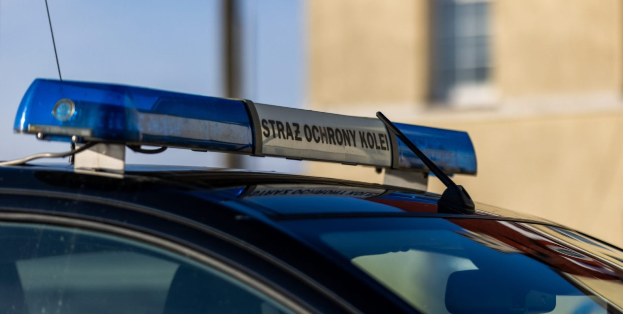 Zdjęcie ilustracyjne, archiwum SOK