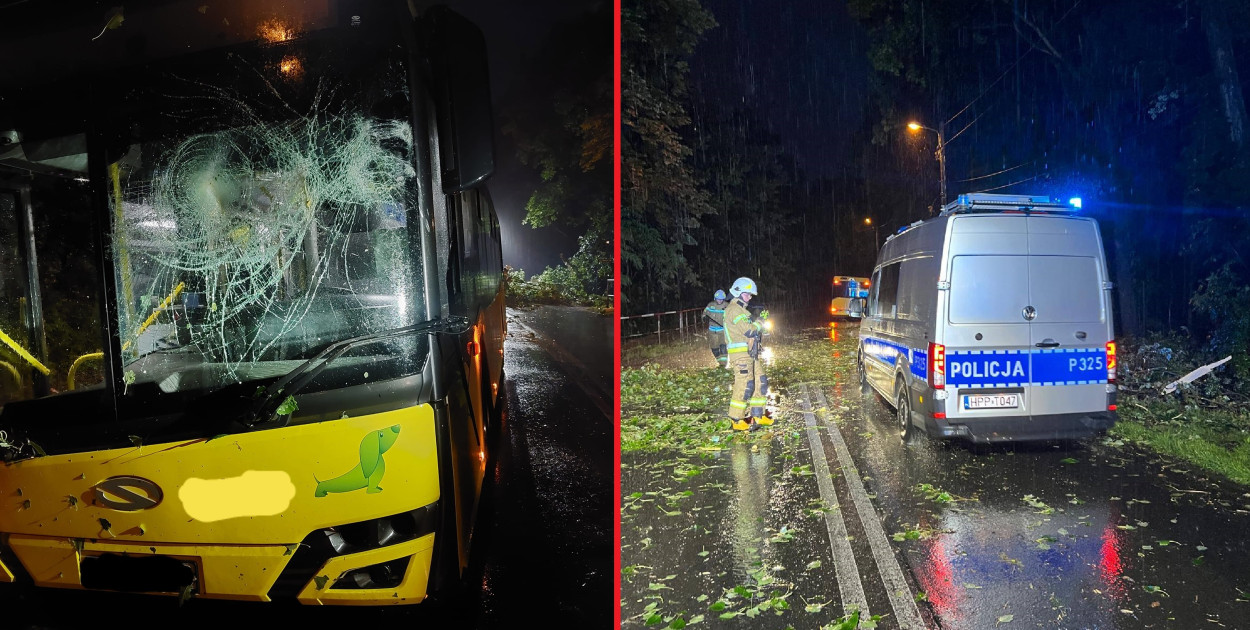 Chwile grozy przeżył kierowca autobusu linii 20 przejeżdżającego przez Kamieniec. Fot. OSP Zbrosławice