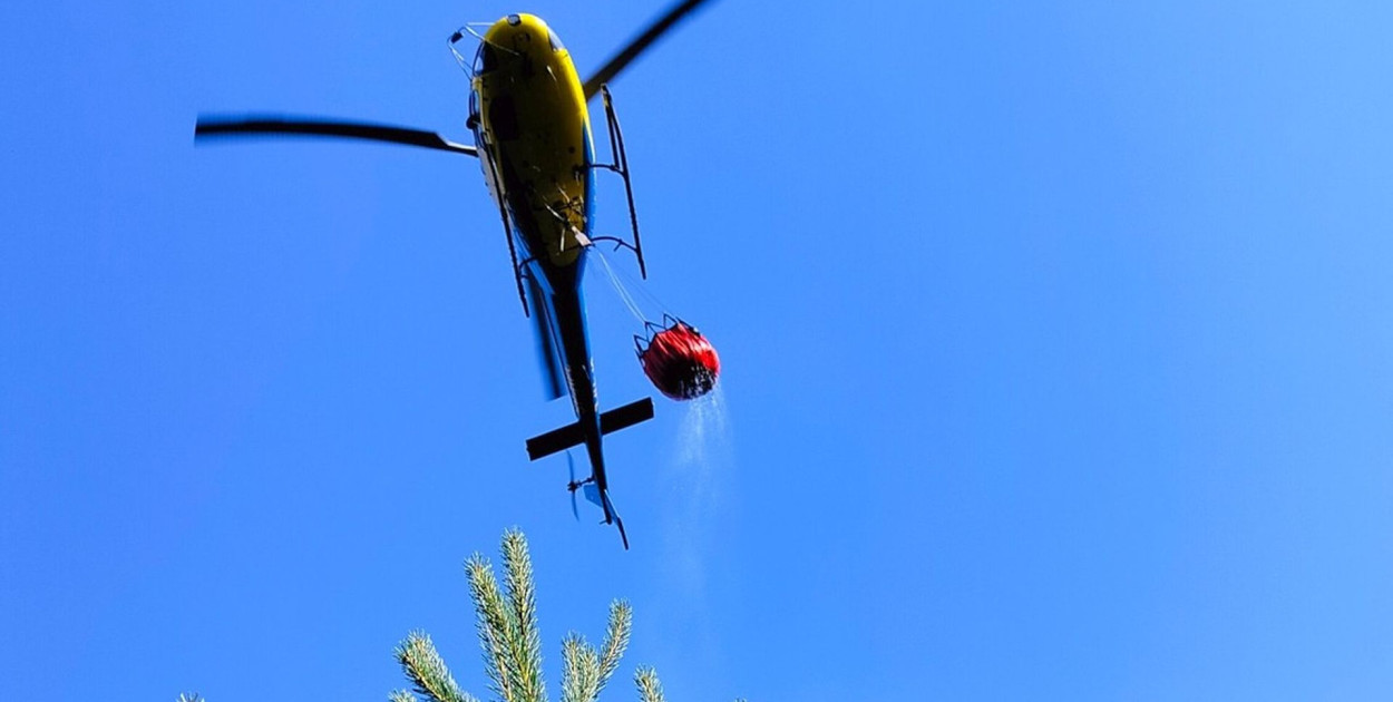 Wszystko wskazuje na to, że powodem pożaru lasu, do kt&oacute;rego doszło w niedzielę w Tworogu, było podpalenie. Fot. OSP Tworóg