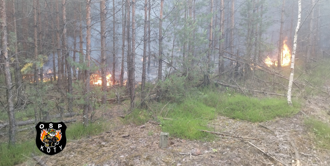 Fot. OSP Koty