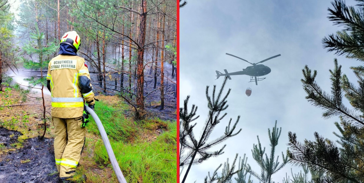 W miniony weekend w Tworogu doszło do 4 pożarów lasu. Fot. OSP Tworóg
