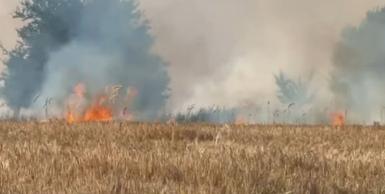 W sobotę wieczorem doszło w Tarnowskich Górach do pożaru zboża. Fot. OSP Florian Strzybnica