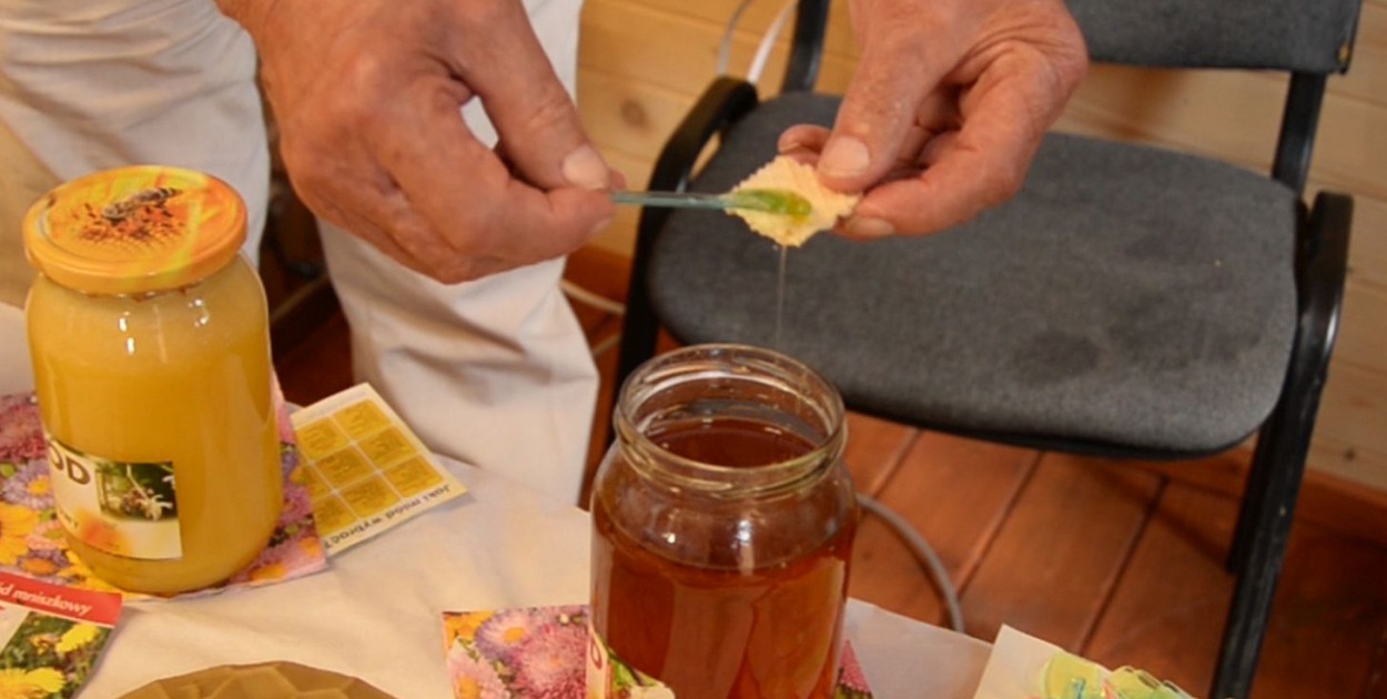 Pasieka edukacyjna w Ichtioparku – podglądaj życie pszczół w Kaletach