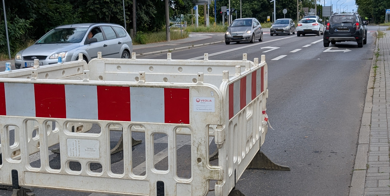 Fot. Elżbieta Kulińska