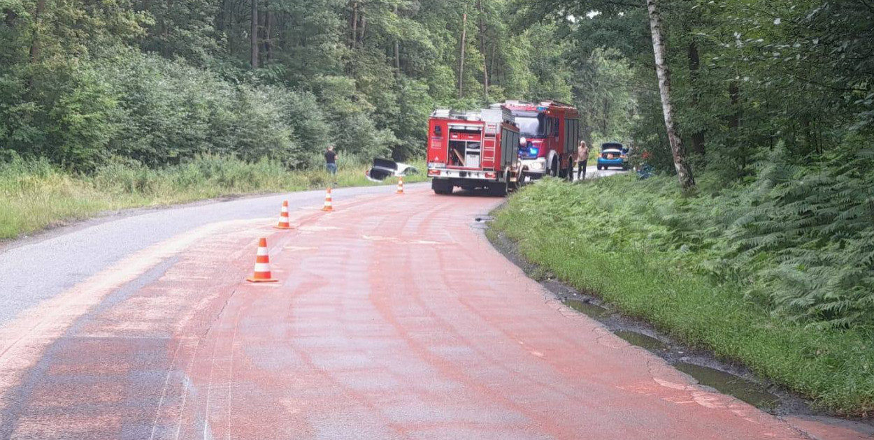 Wczoraj przed godziną 17 policja w Tarnowskich Górach otrzymała wiadomość, że na zakręcie pomiędzy Połomią a Brynkiem samochód wpadł do rowu. Fot. OSP Połomia