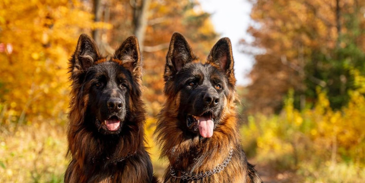 Bono siedzi z lewej strony. Czy ktoś go otruł? Fot. Archiwum czytelnika