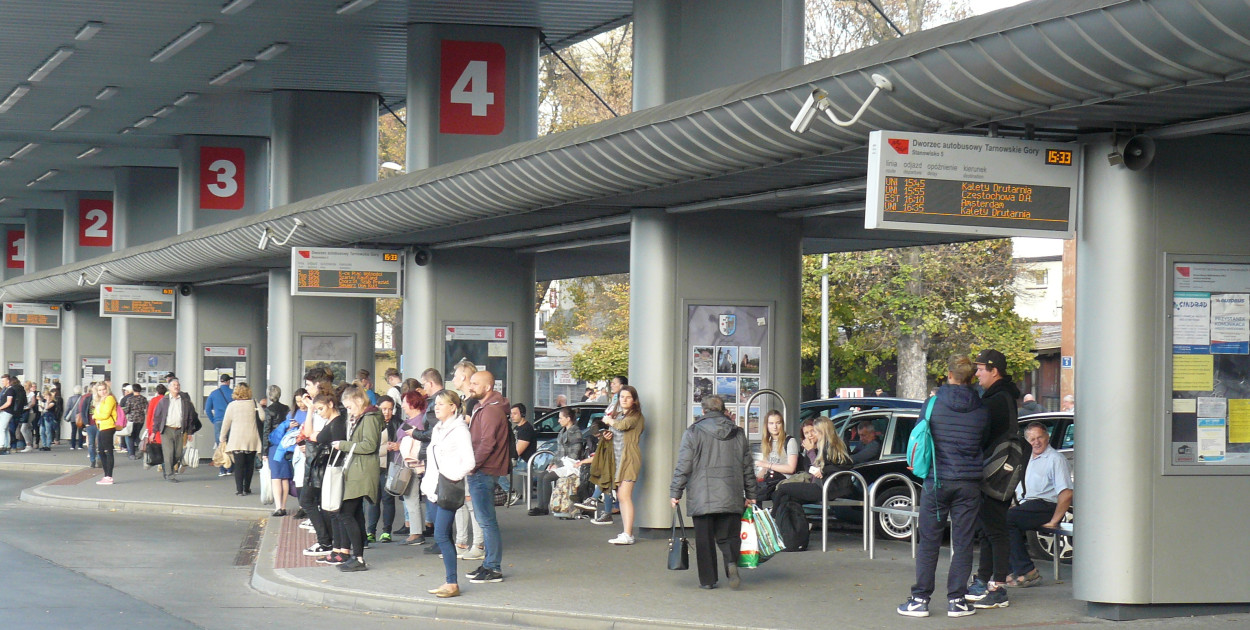 Zdjęcia: Archiwum Gwarka