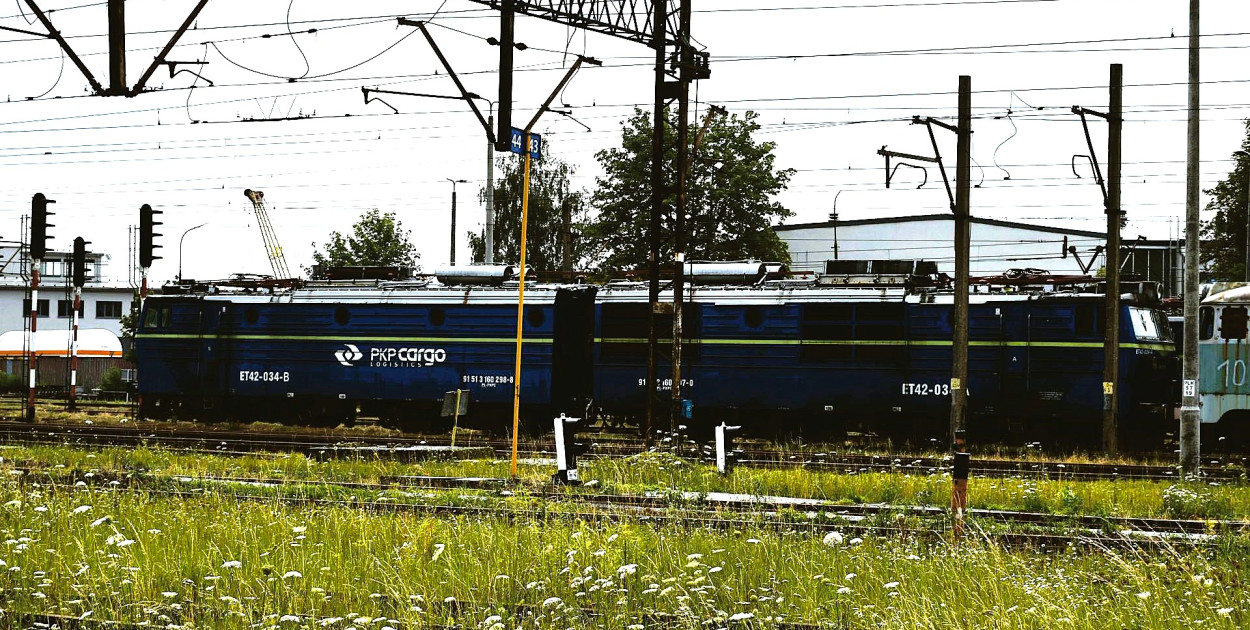 Tarnowskie Góry.  Protest to odpowiedź na antykolejową politykę rządu oraz postępującą degradację kolejowych przewozów towarowych, czego najbardziej widocznym przykładem ma być dramatyczna sytuacja w spółce PKP CARGO S.A. Fot. Gwarek