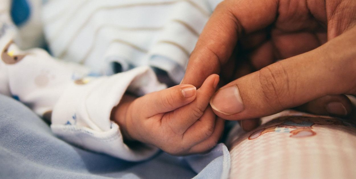 Obraz Pexels z Pixabay