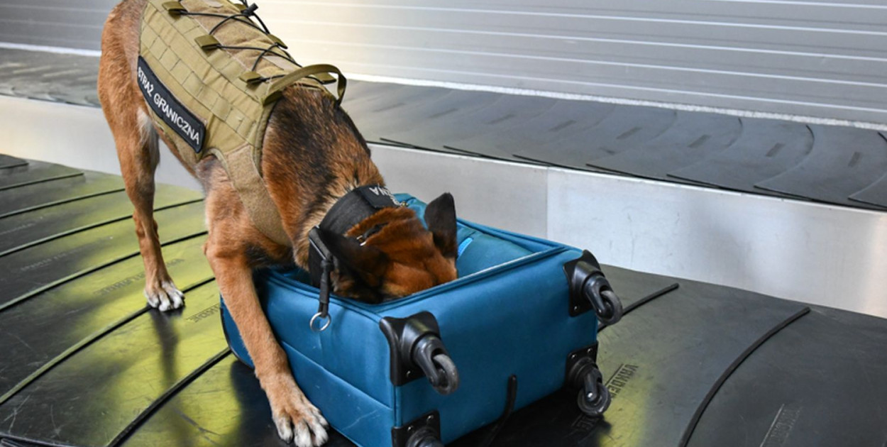 Zdjęcie ilustracyjne, fot. archiwum SG