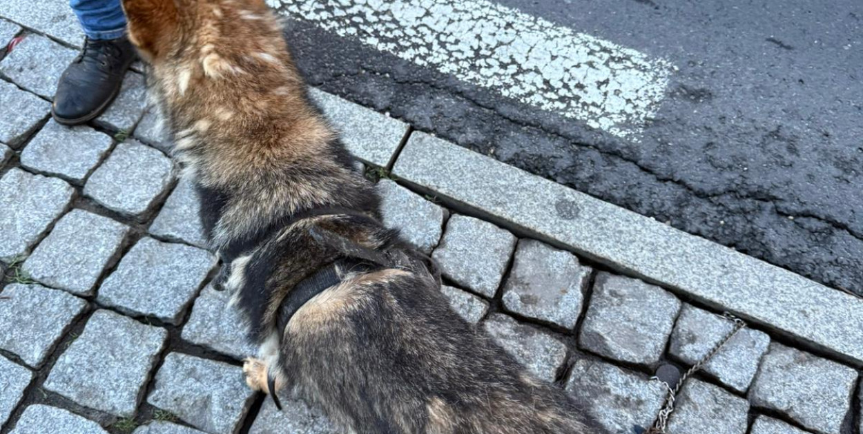 Fot. Archiwum czytelnika