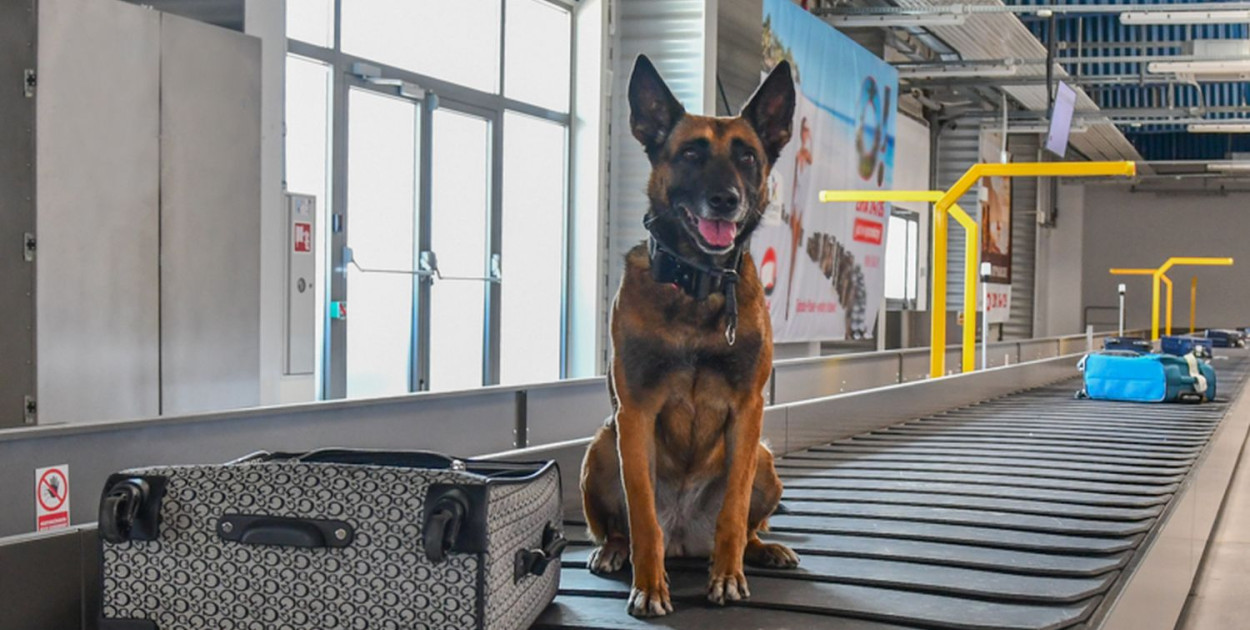 Zdjęcie ilustracyjne, fot. archiwum SG