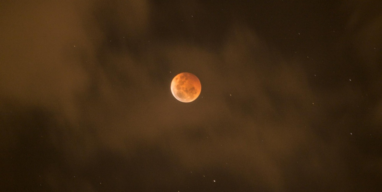 Obraz Patty Jansen z Pixabay