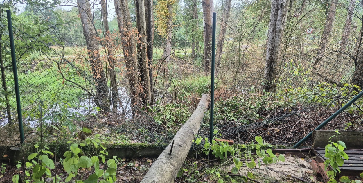 Sobotnia intewencja w Boruszowicach. Fot. OSP Boruszowice-Hanusek