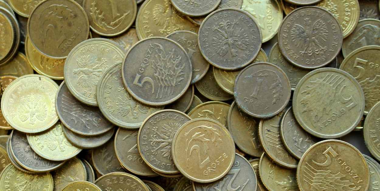 Obraz Alicja z Pixabay