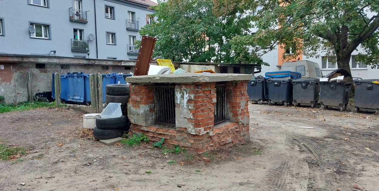 Zdjęcia: Agnieszka Reczkin