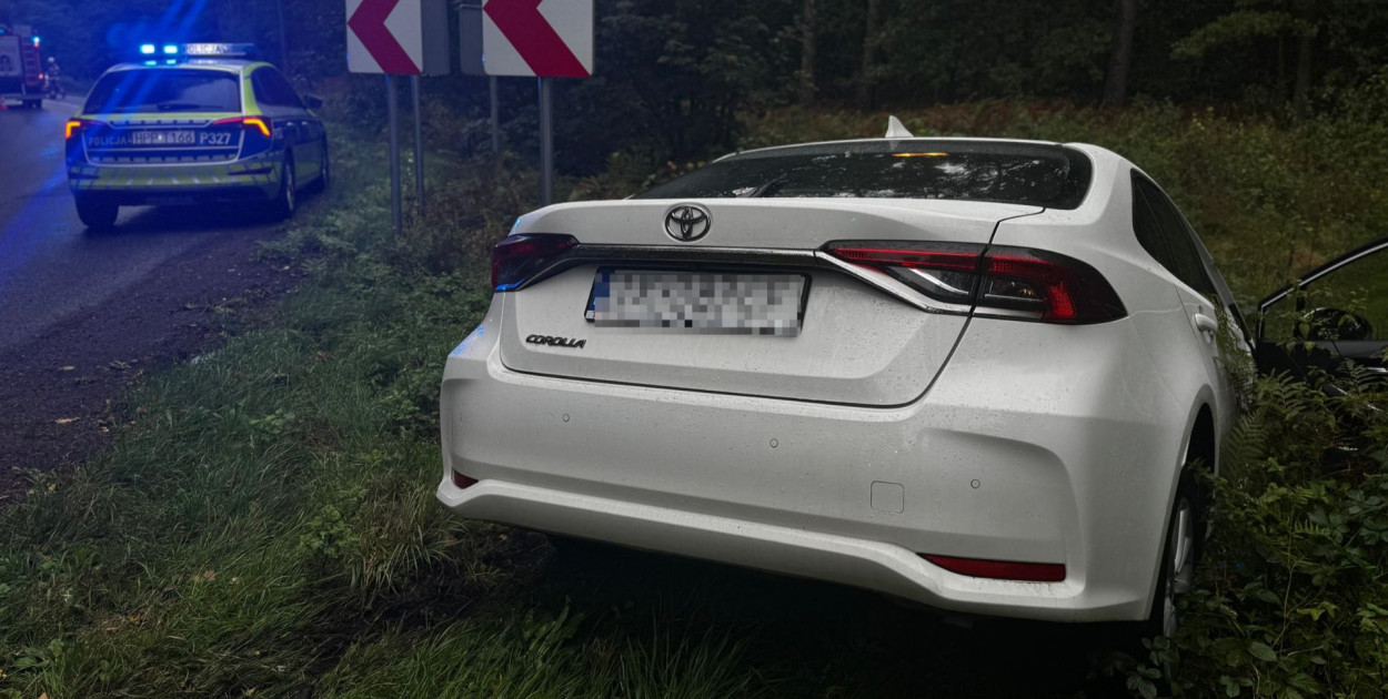 Na ulicy Pyskowickiej między Połomią a Brynkiem doszło do zdarzenia samochodu osobowego i dostawczego busa. Fot. Policja Tarnowskie Góry