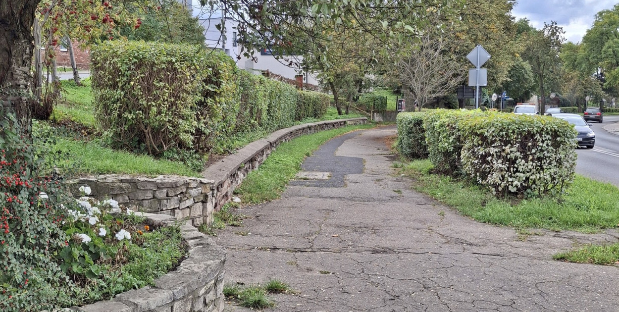 Zdjęcia z archiwum UM Radzionków