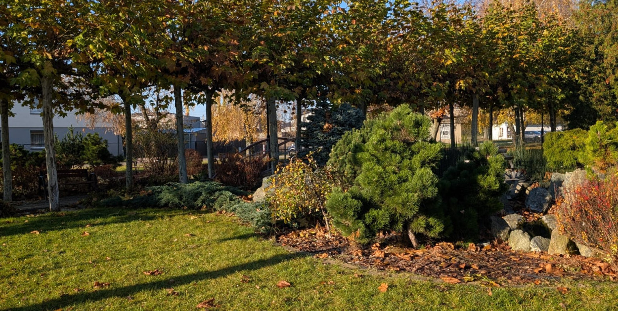 Skwer przy ul. Młyńskiej w Świerklańcu. Fot. Elżbieta Kulińska